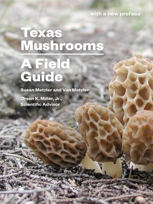 cover image of Texas Mushrooms: a Field Guide